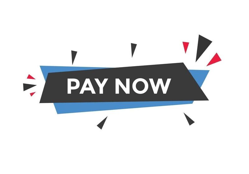 Customer Payments