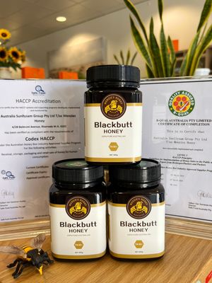 Blackbutt Honey TA 50+ 500g I WA Raw Honey