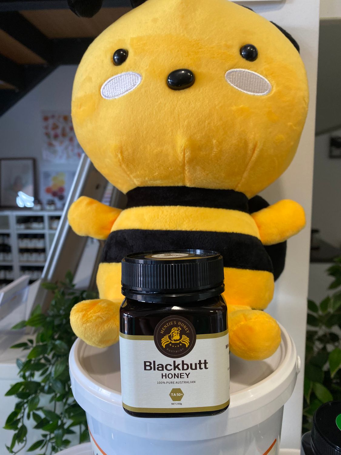 Blackbutt Honey TA50+ 250g