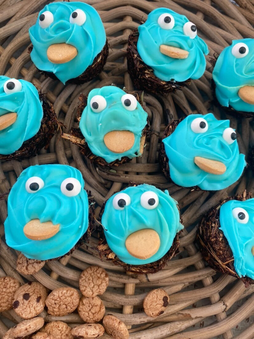 Munchie Monster Muffins ON SALE