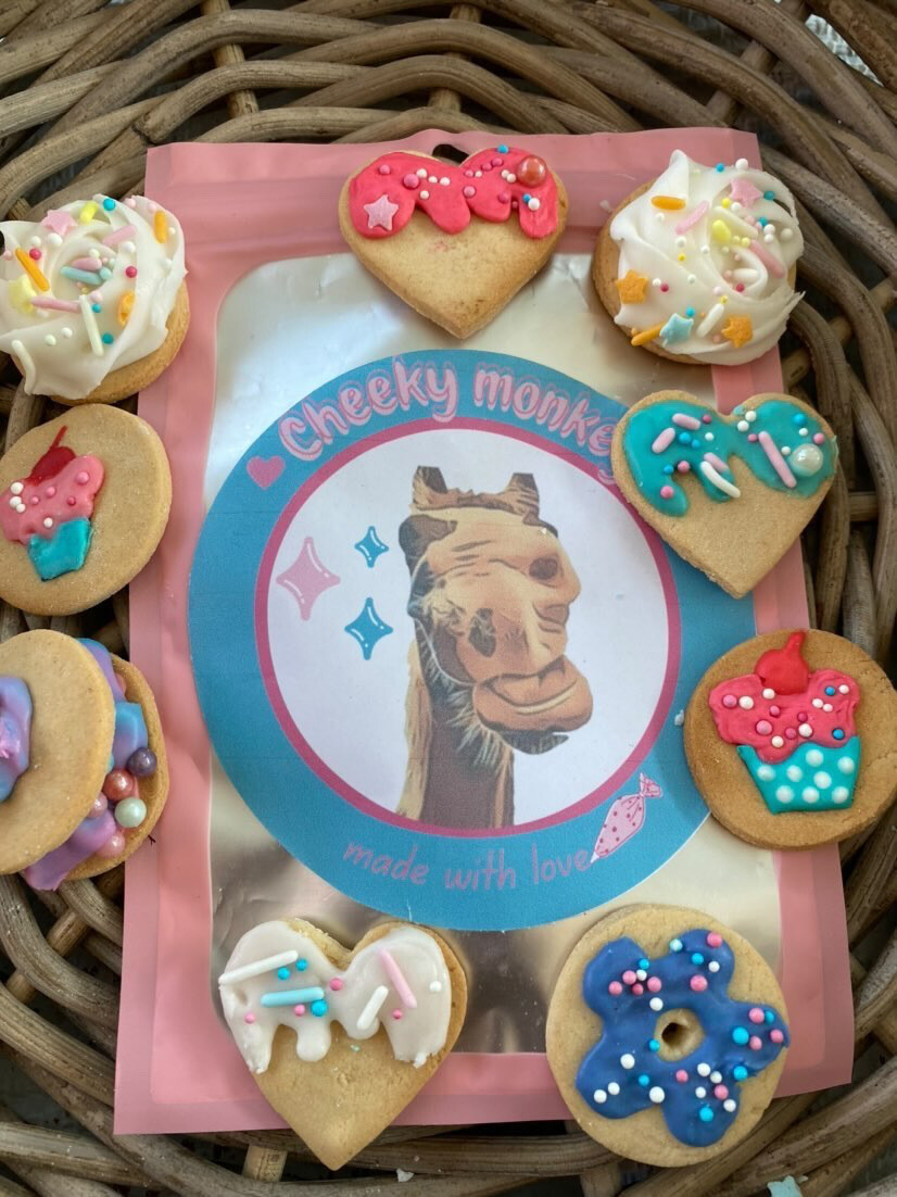 Party time biscuit ON SLAE
