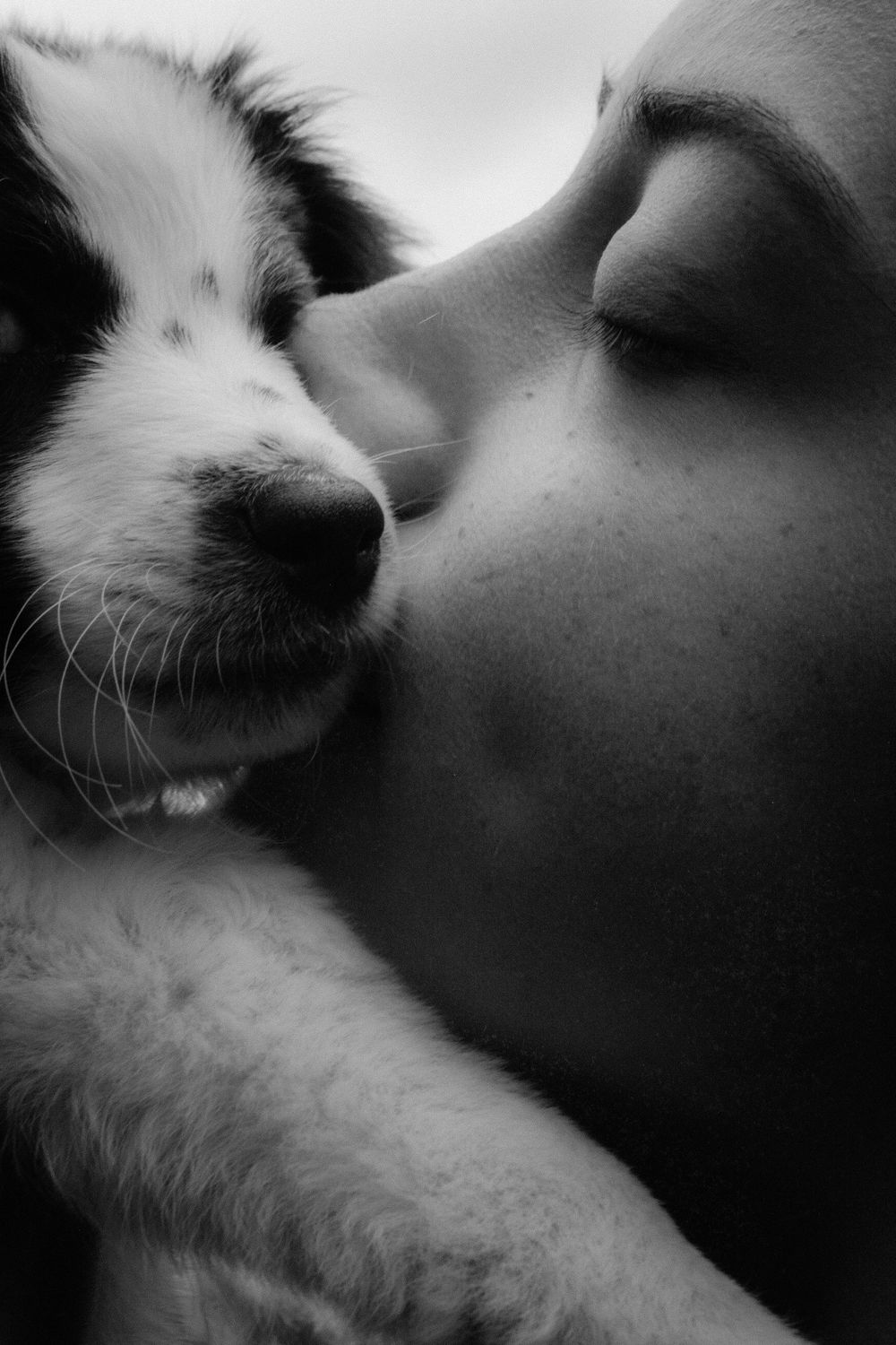 Communication Animale.