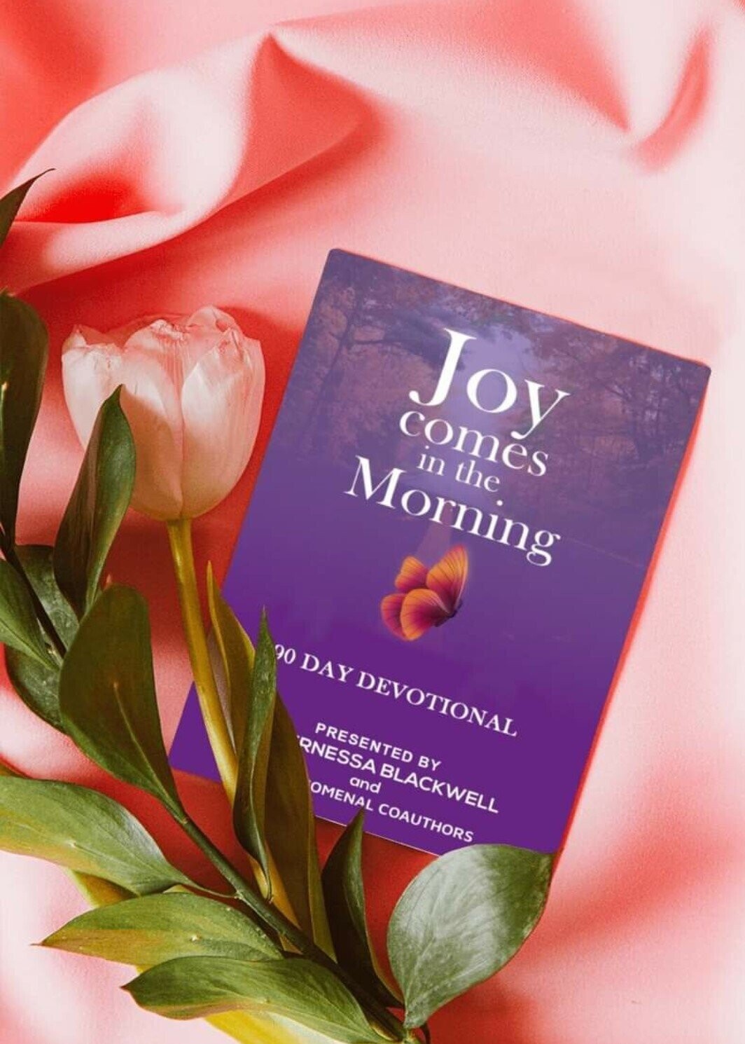 Joy Comes in The Morning