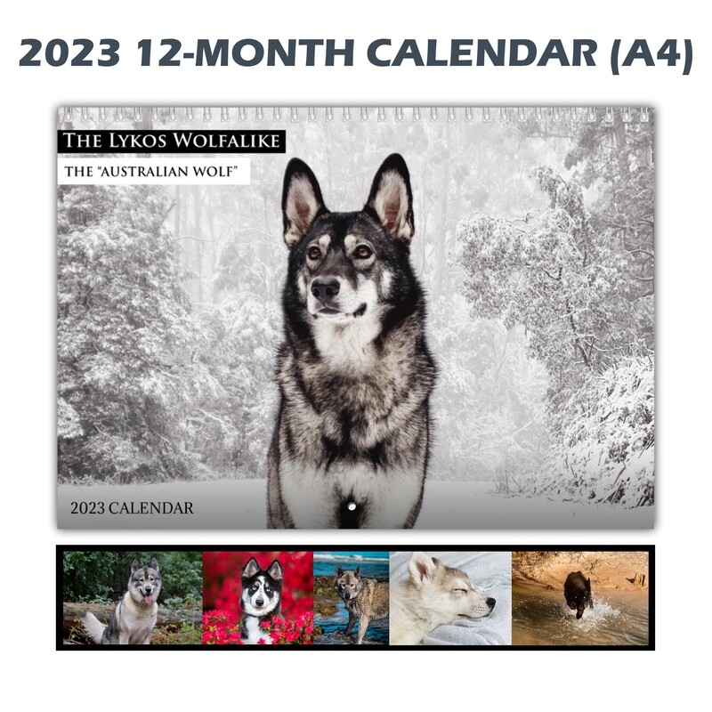 *SOLD OUT* 2023 Lykos Wolfalike 12-month Calendar (includes shipping)