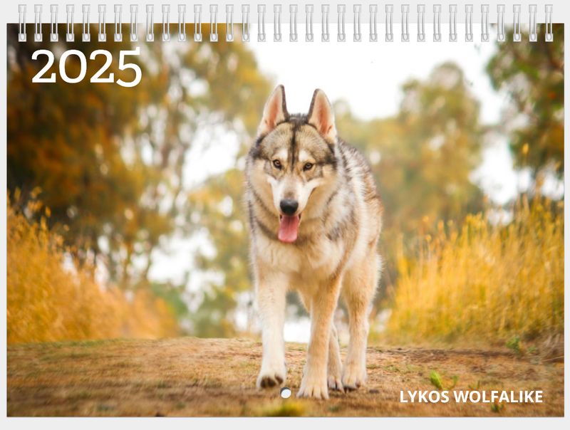 2025 LYKOS WOLFALIKE CALENDAR