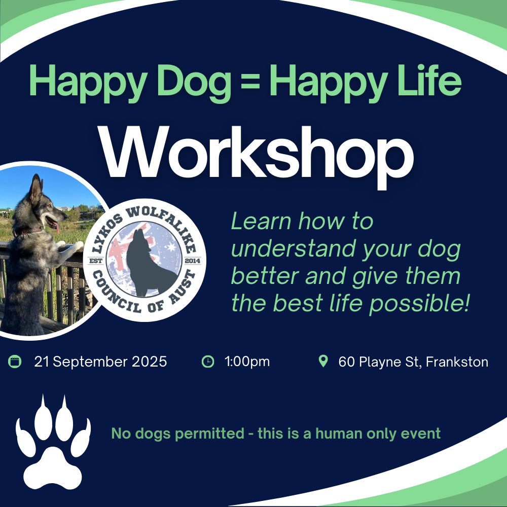 Happy Dog - Happy Life Workshop