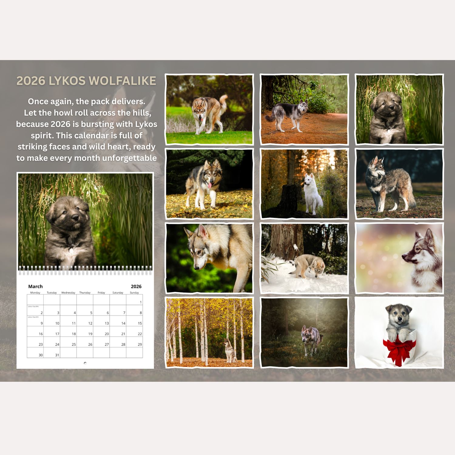 2026 LYKOS WOLFALIKE CALENDAR