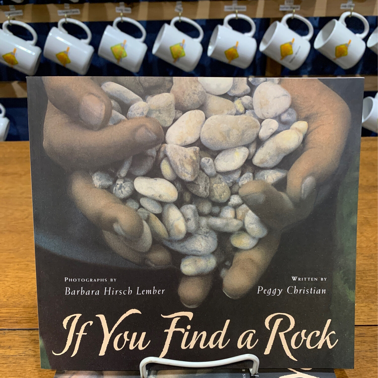 If You Find A Rock by Peggy Christian