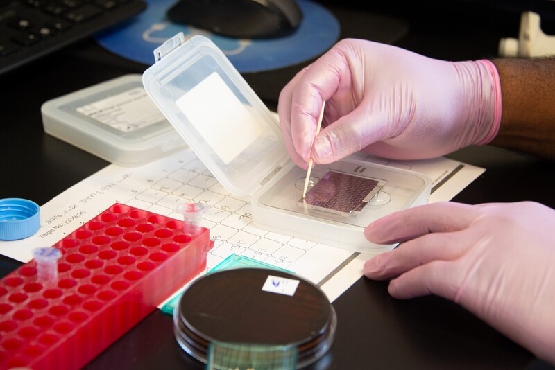Somatic Cell Count (SCC) and Components (Protein, Butterfat, Lactose)