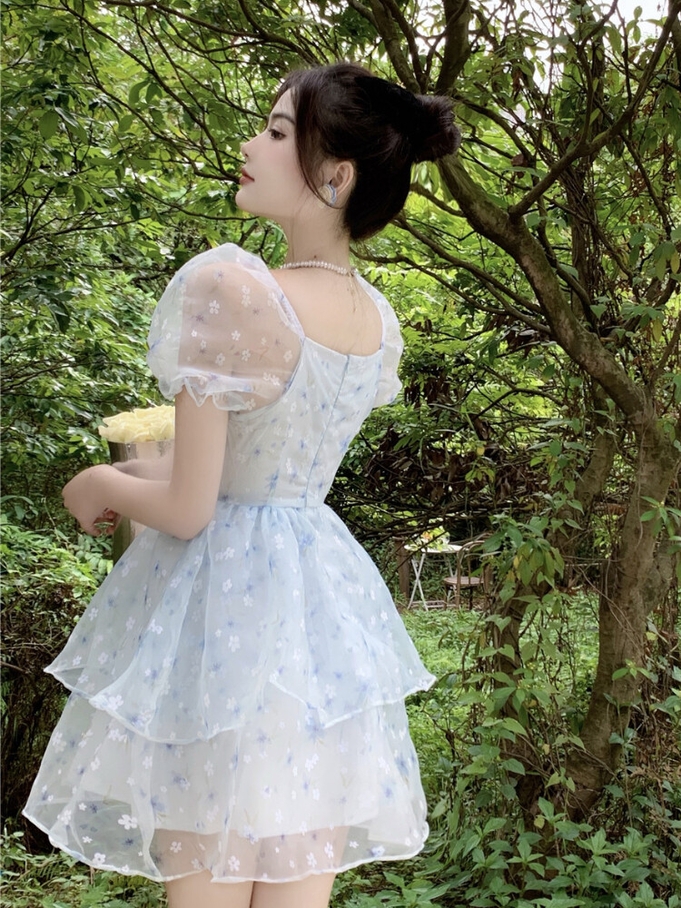 Lace up Puff Sleeve Floral Summer Dress