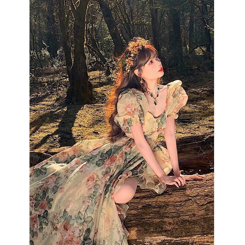 Princess Puff Sleeve Floral Print Chiffon Dress