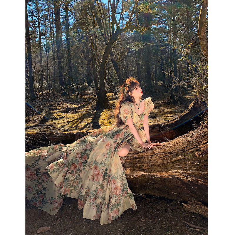 Princess Puff Sleeve Floral Print Chiffon Dress