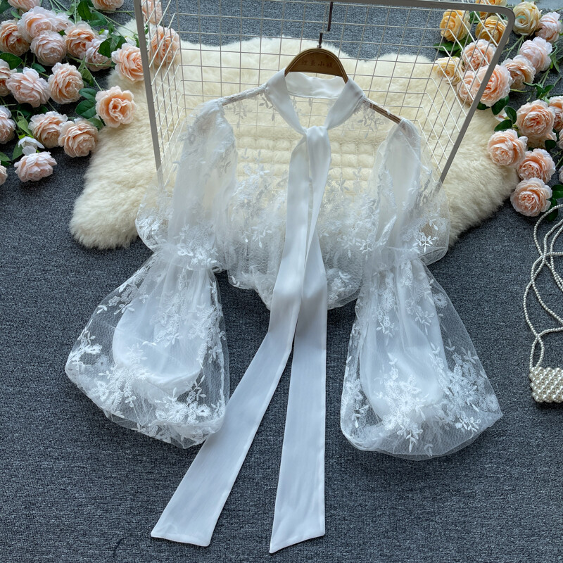 Lace Up Embroidery Long Sleeve Blouse