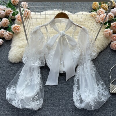 Lace Up Embroidery Long Sleeve Blouse