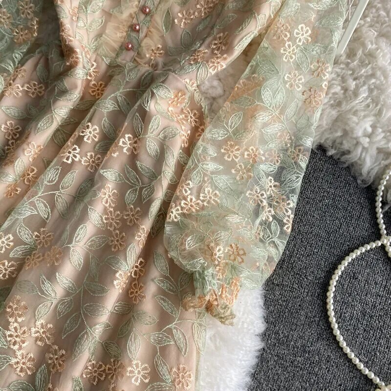 Luxury Mesh Lace Embroidered Dress
