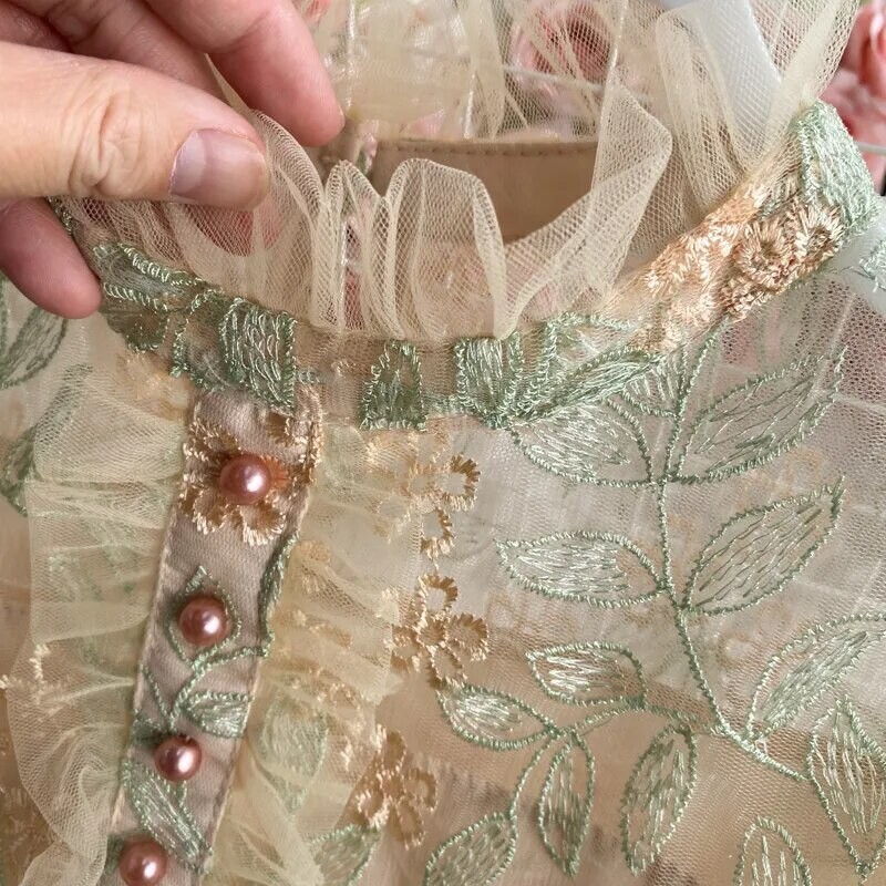 Luxury Mesh Lace Embroidered Dress