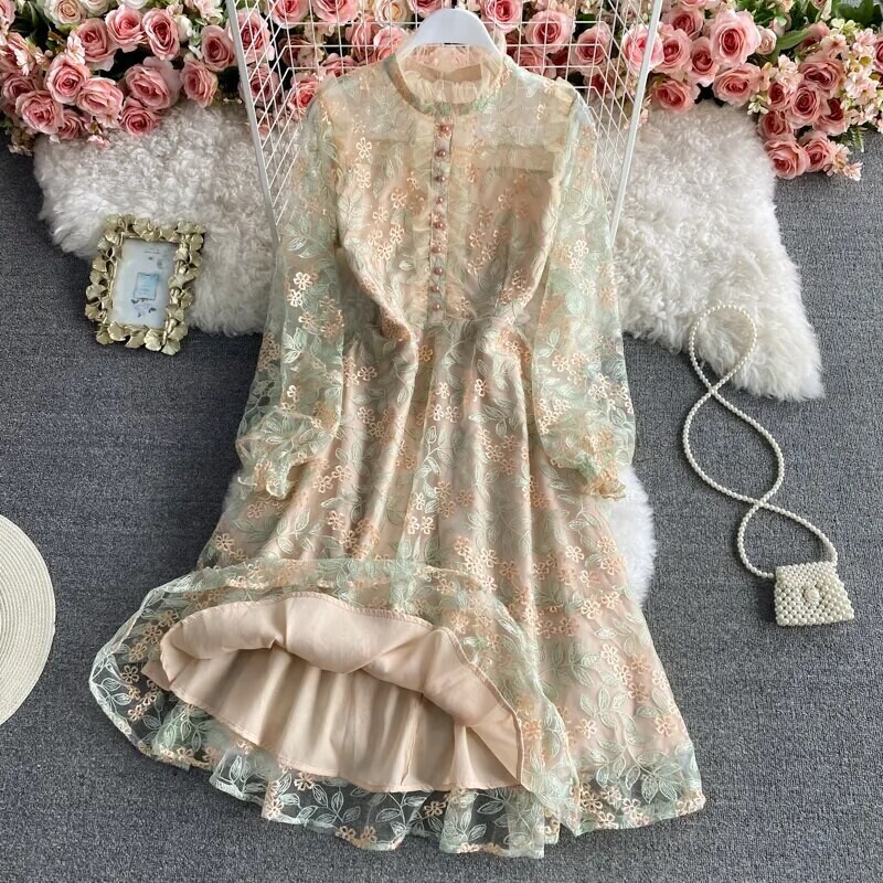 Luxury Mesh Lace Embroidered Dress