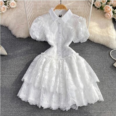Chic Lace Patchwork A Line Party Dress