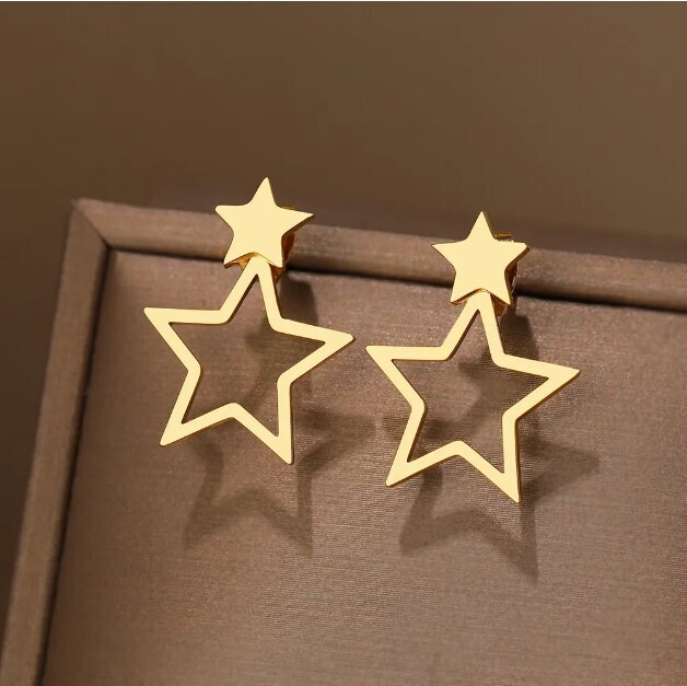 Chic Stars Stainless Steel Earrings