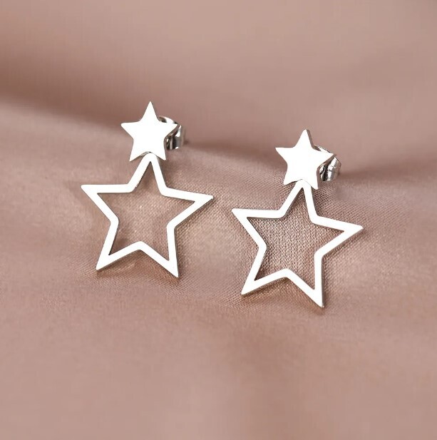 Chic Stars Stainless Steel Earrings