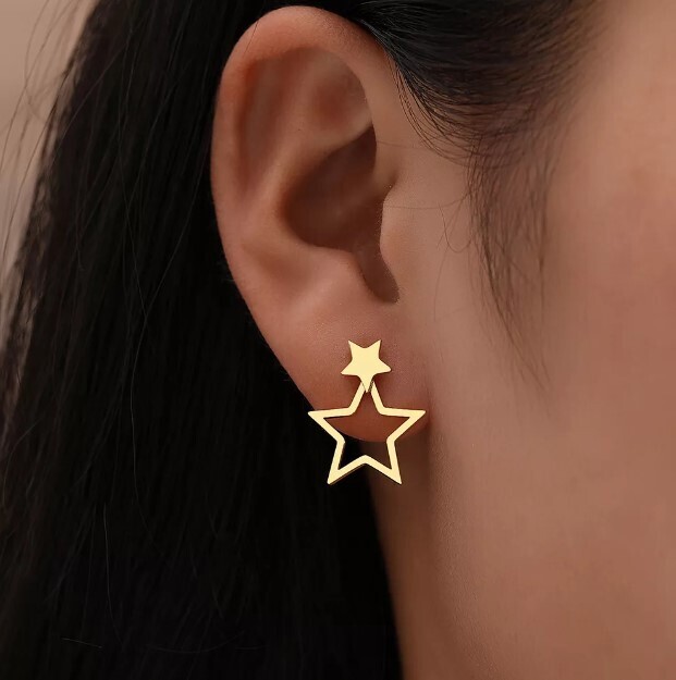 Chic Stars Stainless Steel Earrings