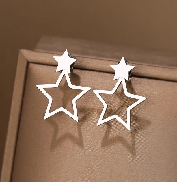 Chic Stars Stainless Steel Earrings