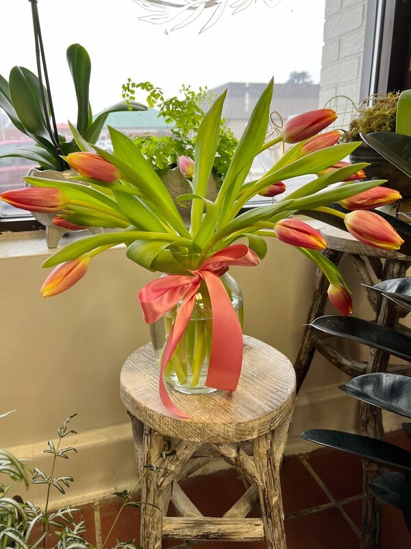 A dozen Tulips