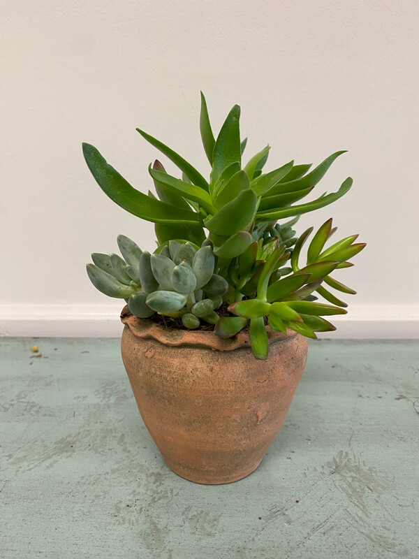 Handmade Small Terracotta Mini Pot