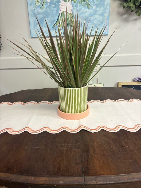 Green Striped Pot with Plant And Pink Saucer