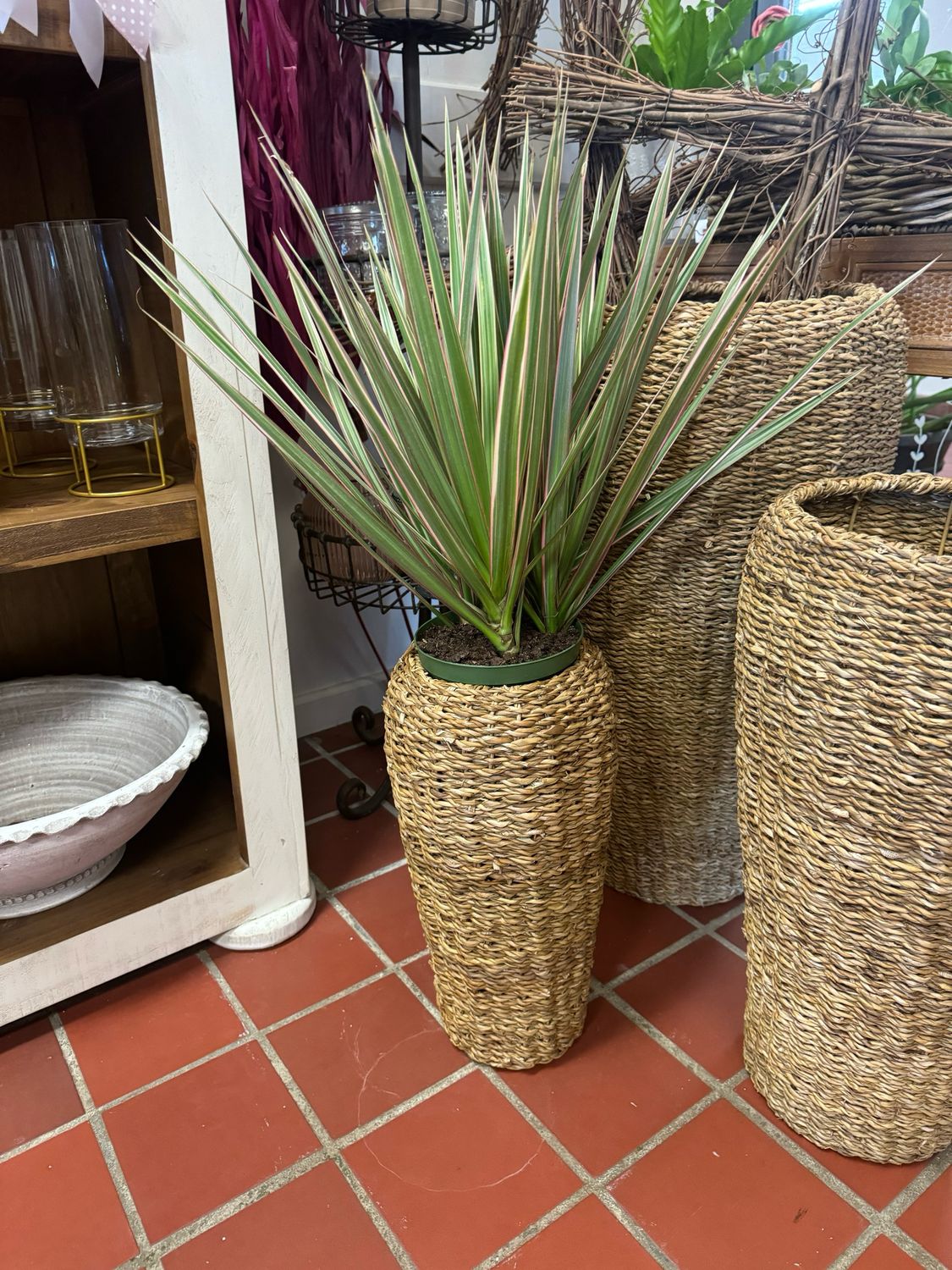 Mirabel Basket Small With Plant
