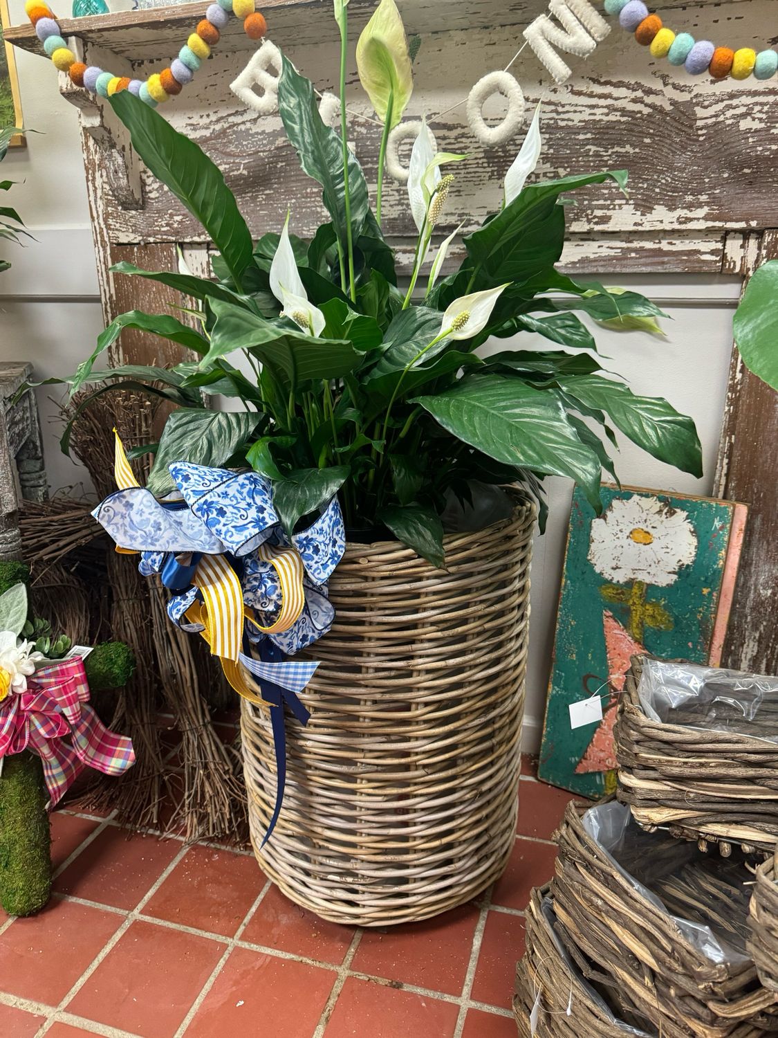 Marla’s basket With Large Plant