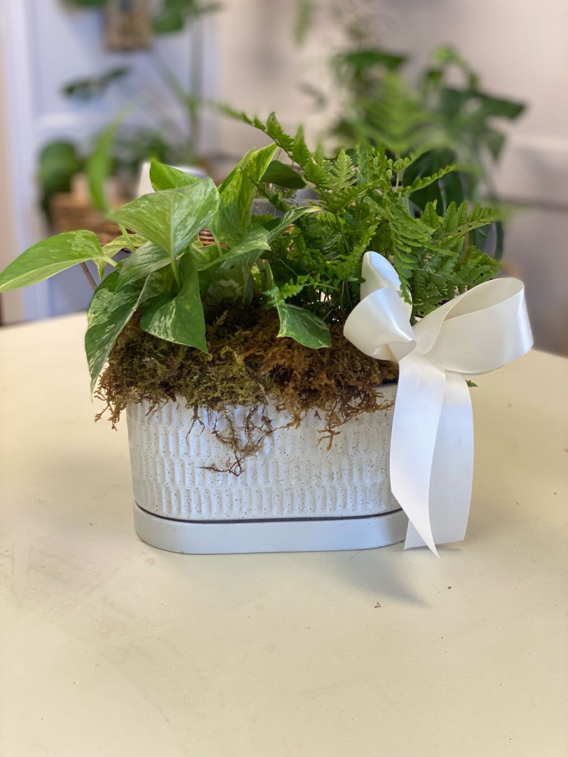 Zelle Planter