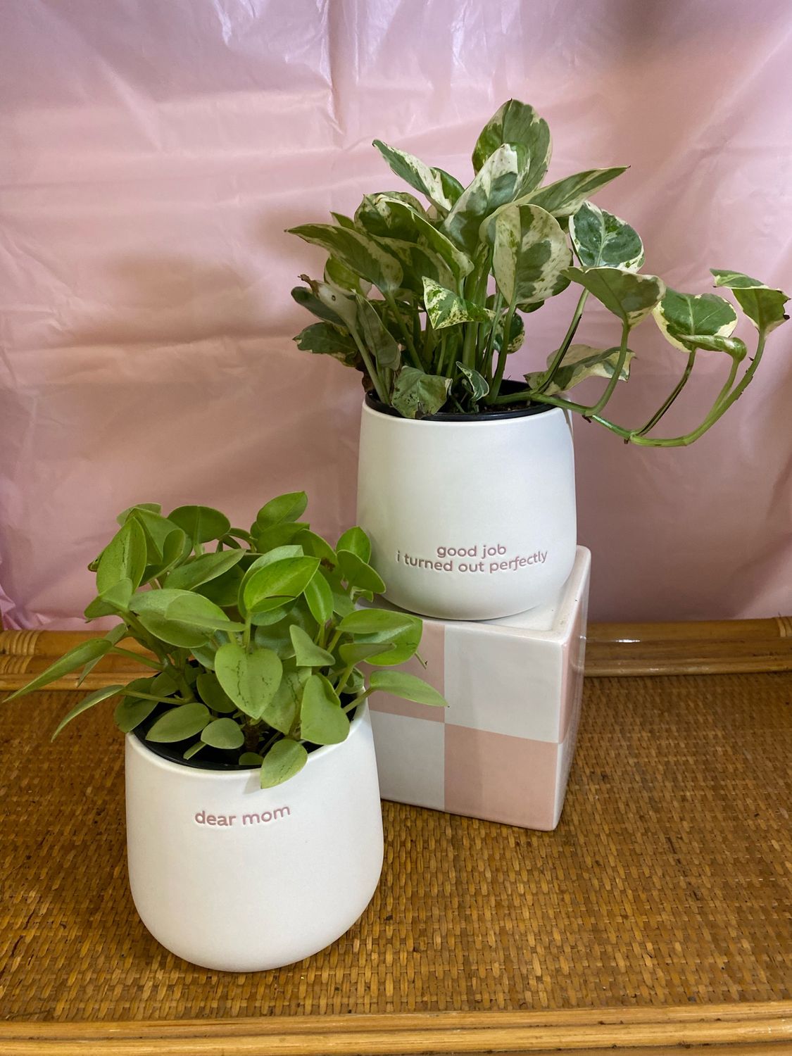 Dear Mom White Pot