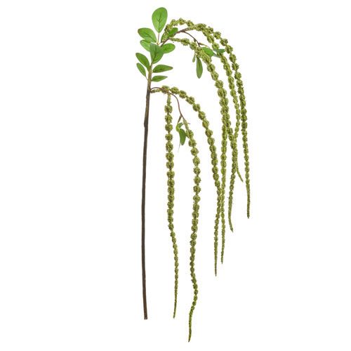 Amaranthus Spray