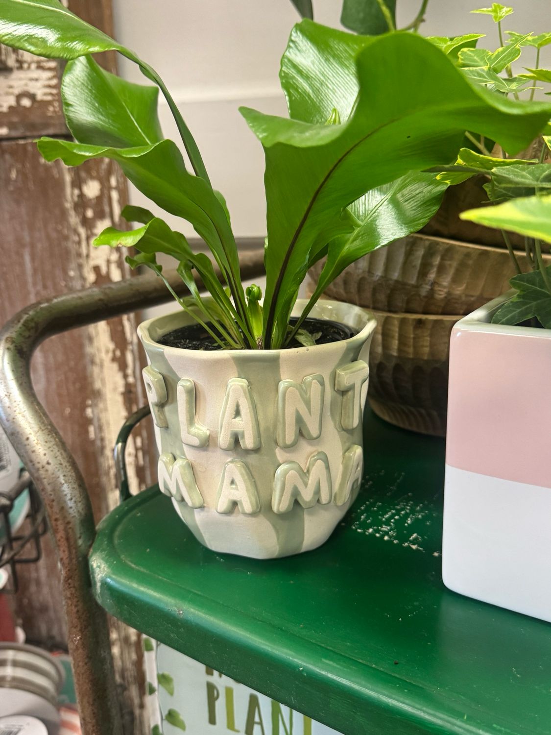 Plant Mama Pot