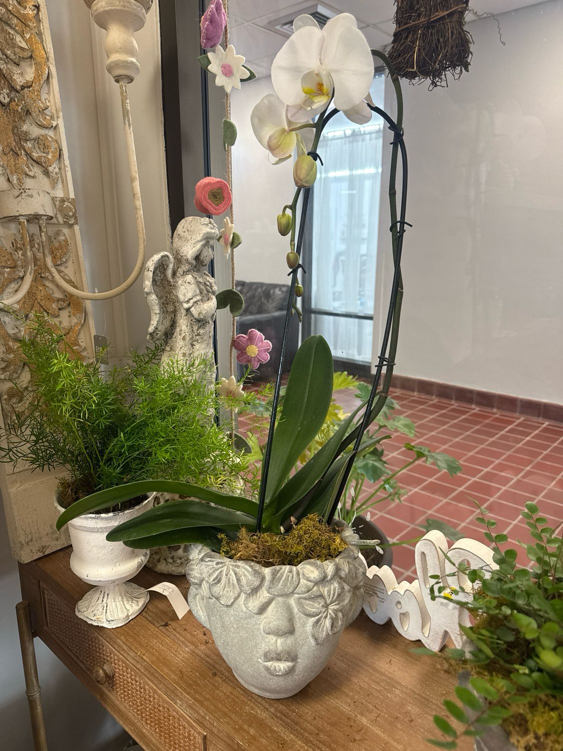 Orchid In Head Planter