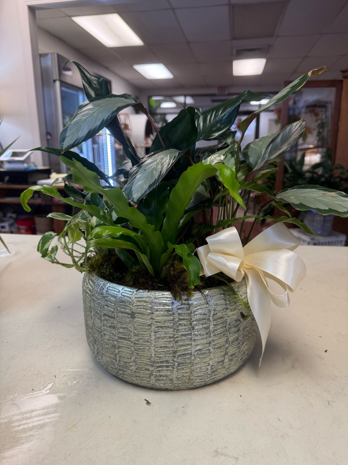 Large Silver English Garden