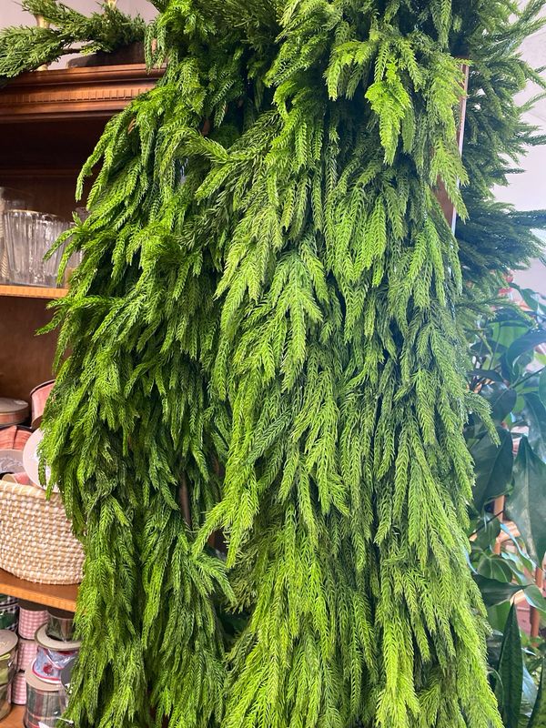 Evergreen Garland Evergreen Garland