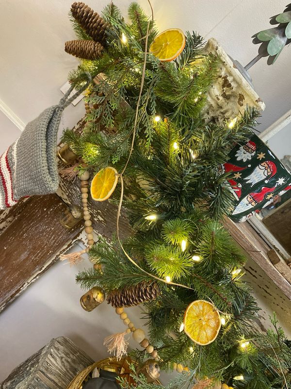 Dried Orange Garland