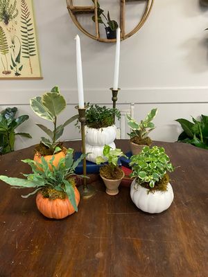 Fall Collection