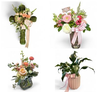 Welcome Home Baby Collection