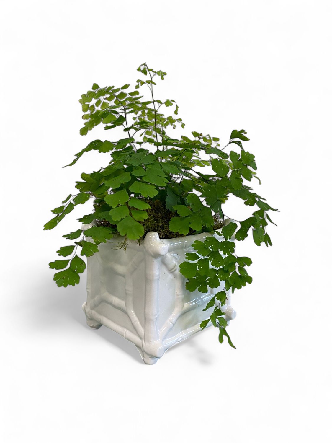 Chinoiserie Cache Pot with Plant Chinoiserie Cache Pot with Plant