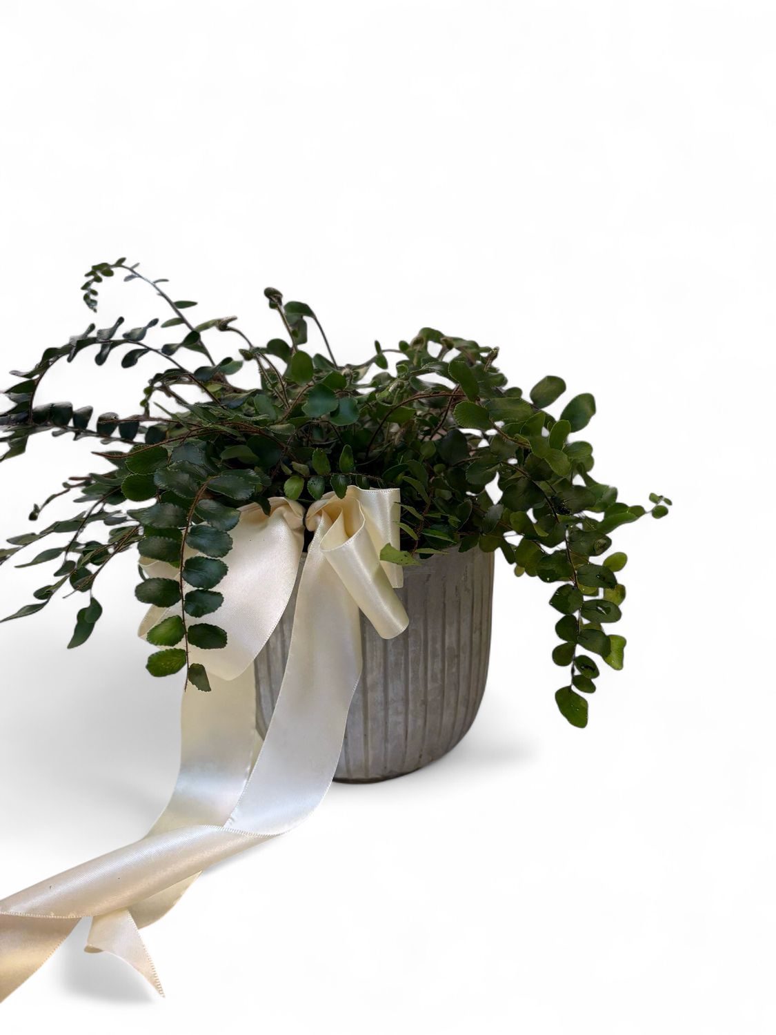 Small Hattie Pot Small Hattie Pot