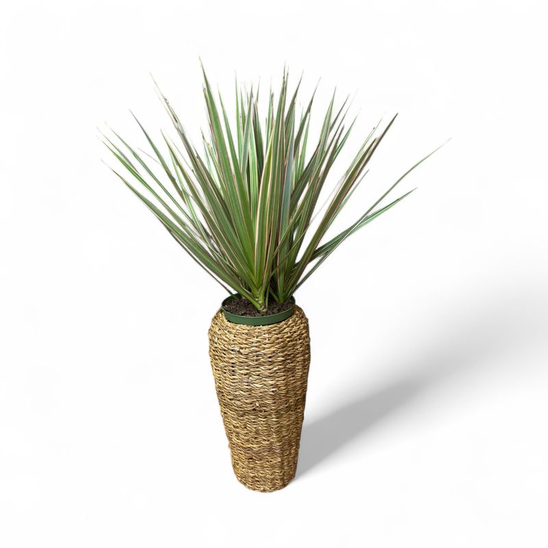 Mirabel Basket Small With Plant