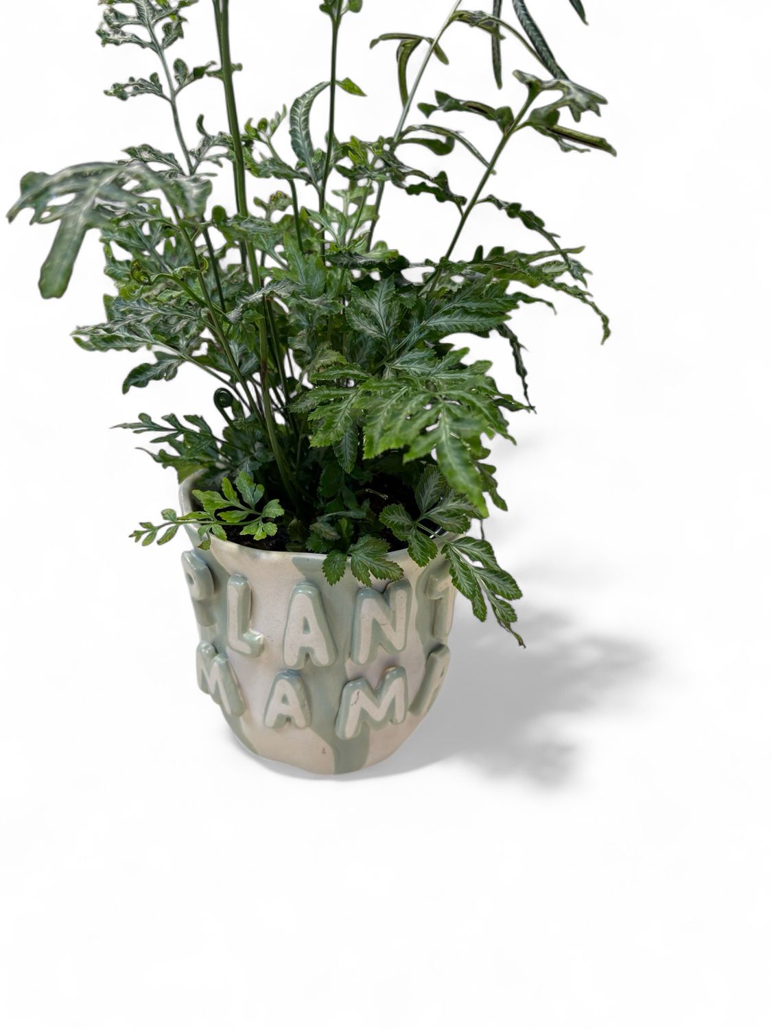 Plant Mama Pot Plant Mama Pot