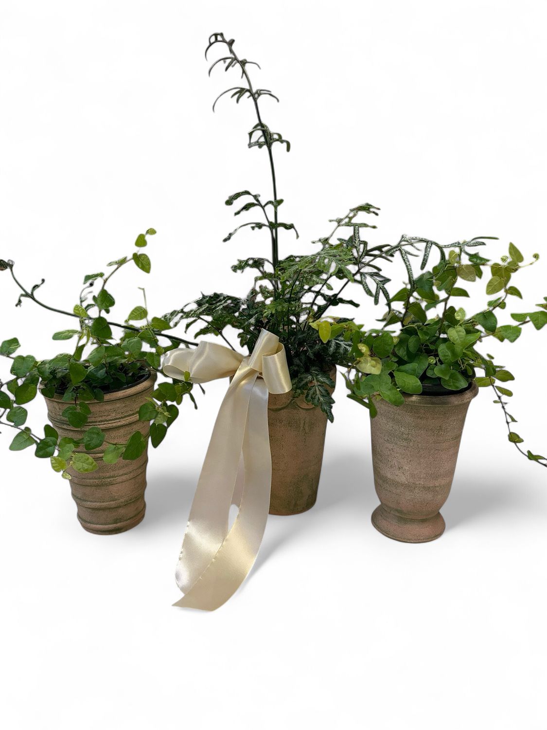 Small Green Terracotta Pots