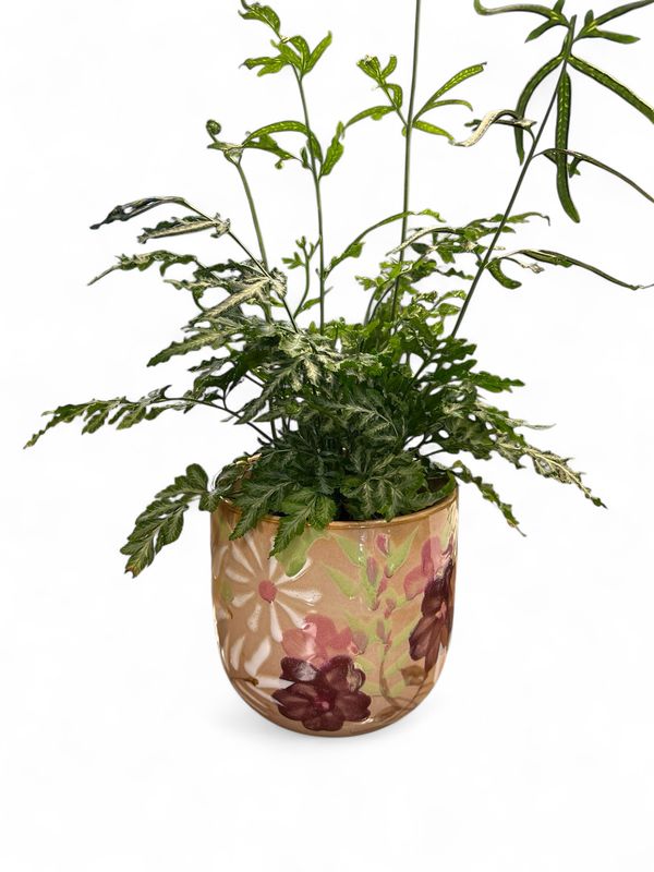 Bloomlet pot with plant