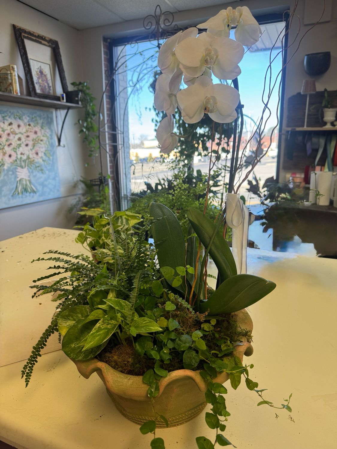 Dish Garden With Orchid