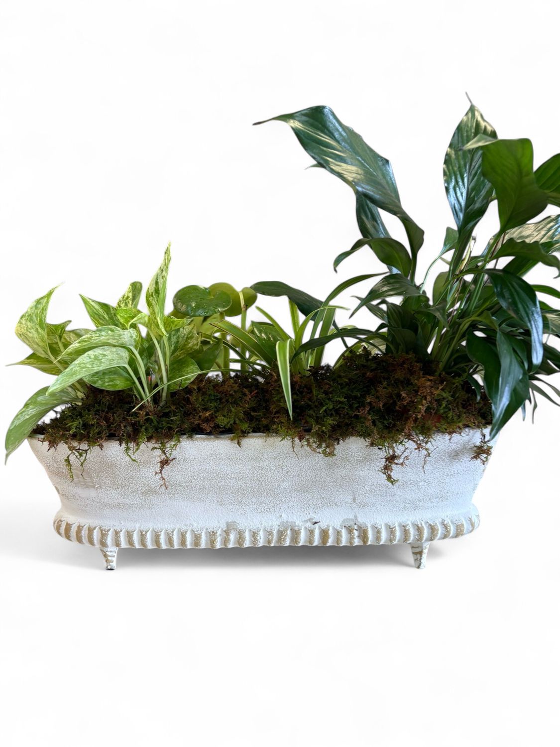 White rustic planter with plants White rustic planter with plants