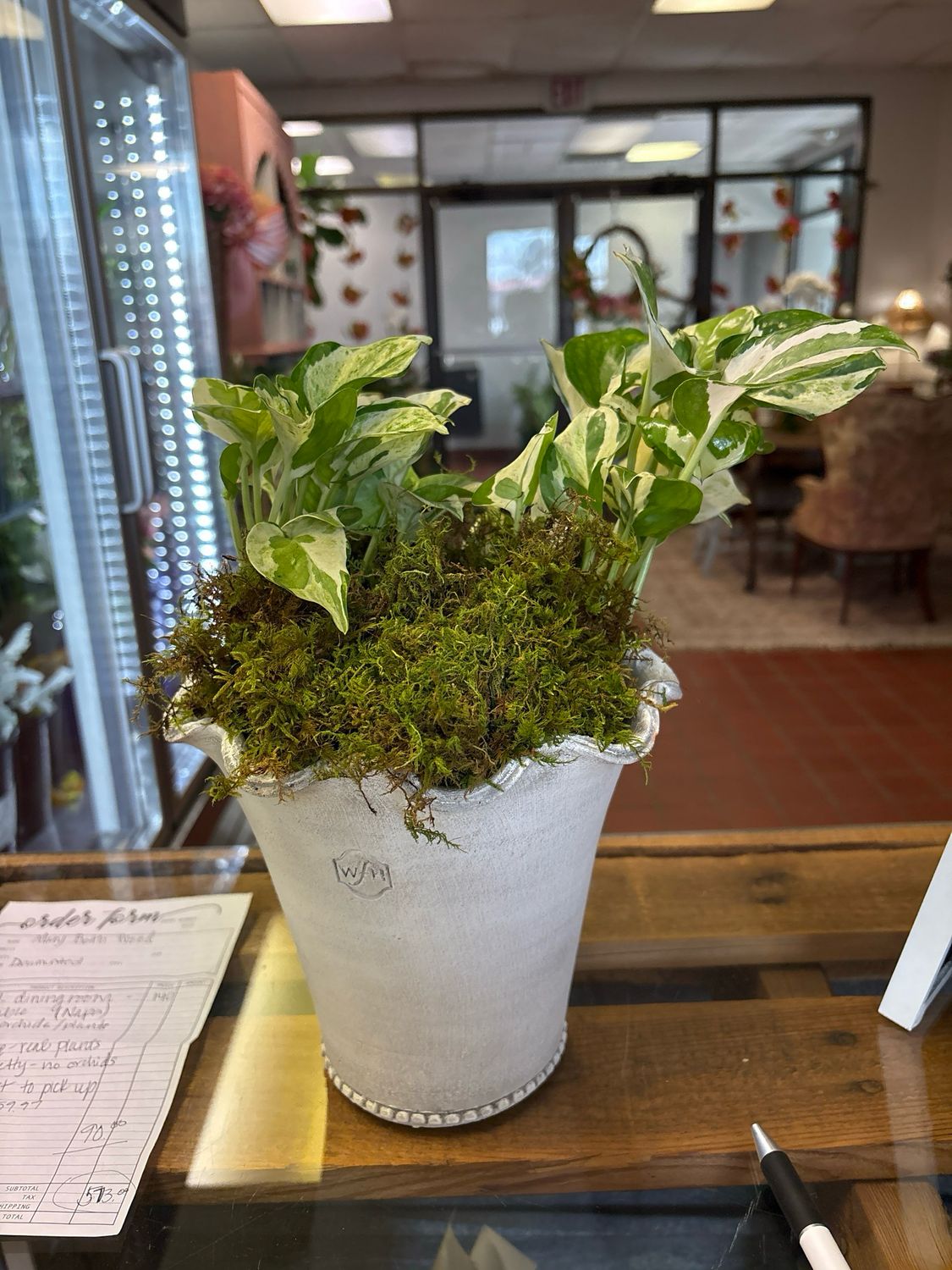 Wakefield homemade Festonee pot with plant